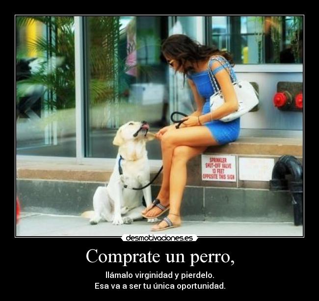 Comprate un perro, - 