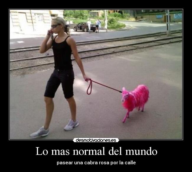 Lo mas normal del mundo - pasear una cabra rosa por la calle