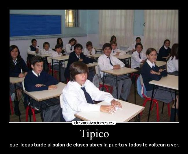 Tipico - 