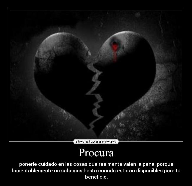 Procura - ponerle cuidado en las cosas que realmente valen la pena, porque
lamentablemente no sabemos hasta cuando estarán disponibles para tu
beneficio.