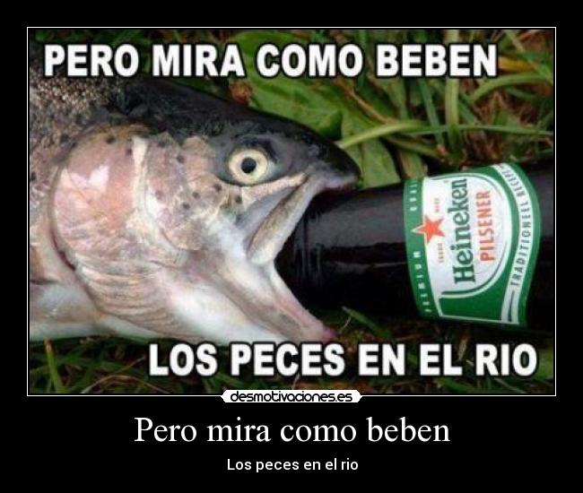 Pero mira como beben - Los peces en el rio