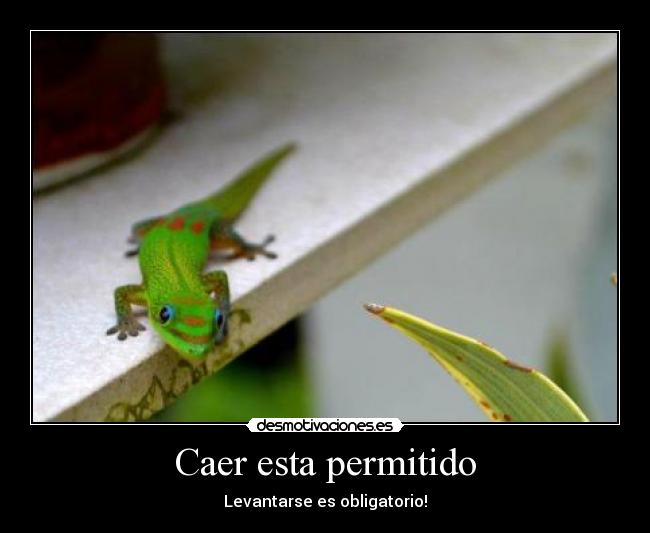 Caer esta permitido - Levantarse es obligatorio!