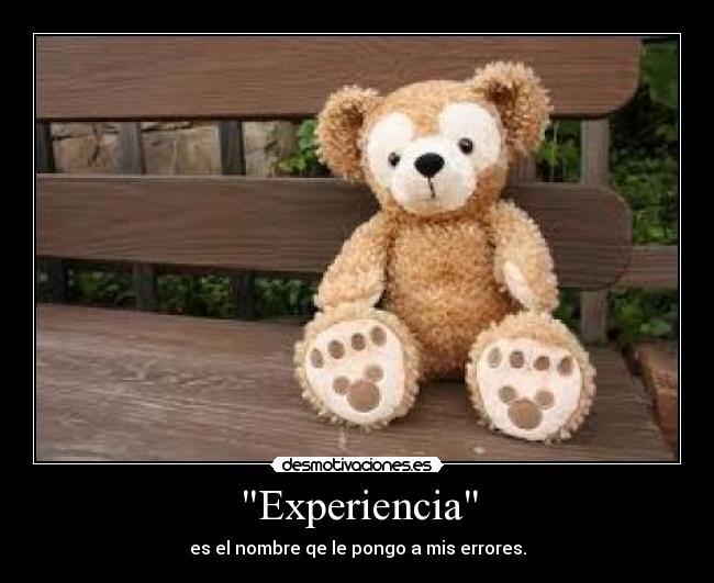 Experiencia - 