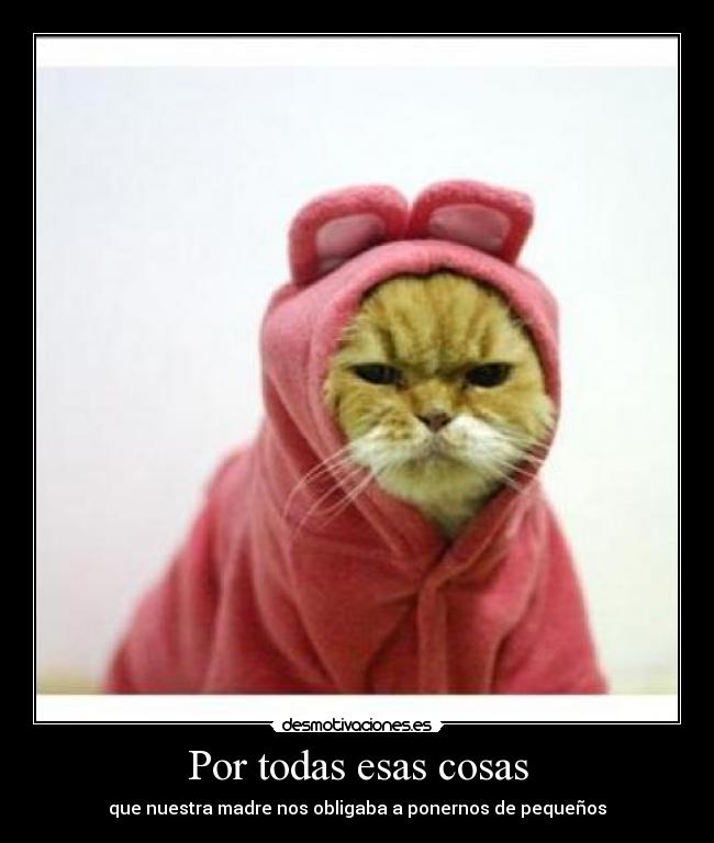 Por todas esas cosas -