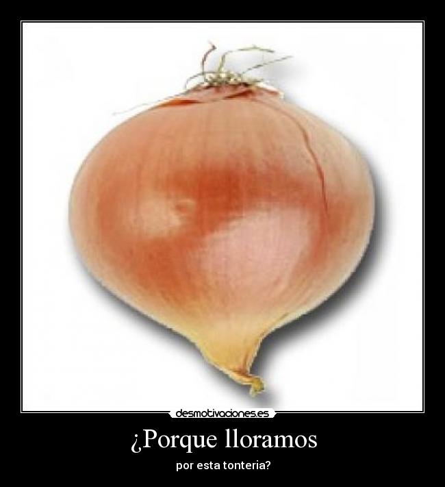 ¿Porque lloramos -