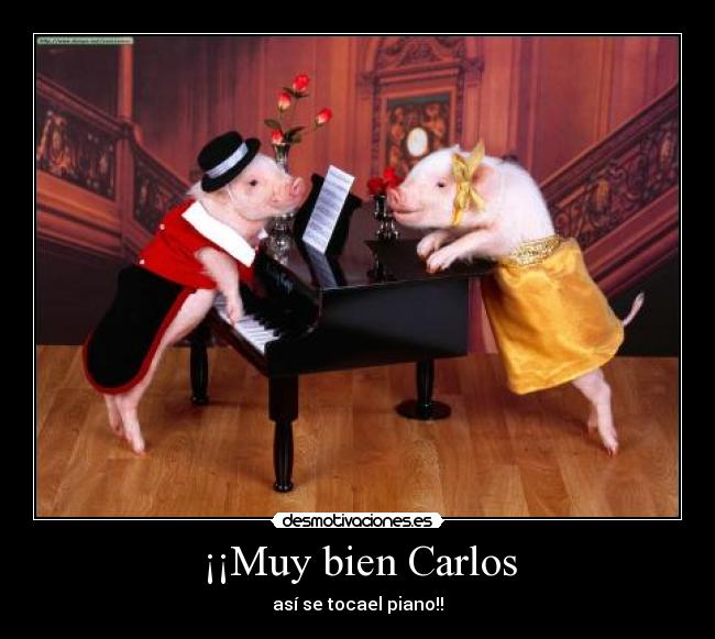 ¡¡Muy bien Carlos - así se tocael piano!!