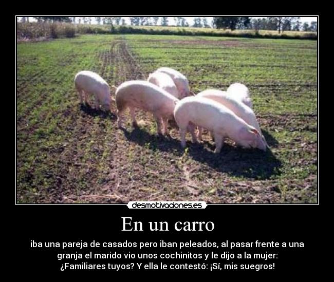 carteles chiste desmotivaciones
