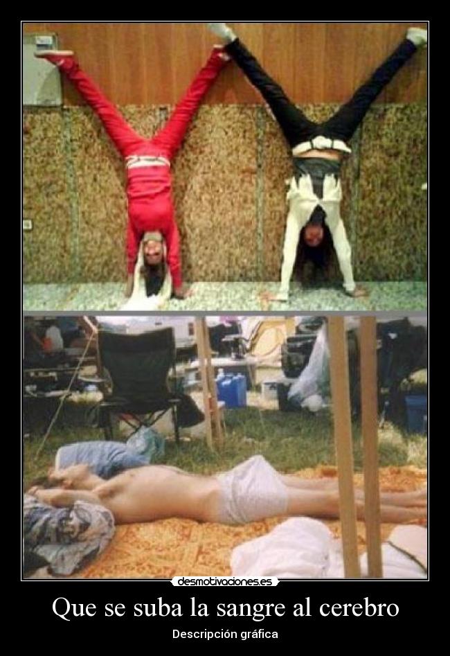 Que se suba la sangre al cerebro - Descripción gráfica