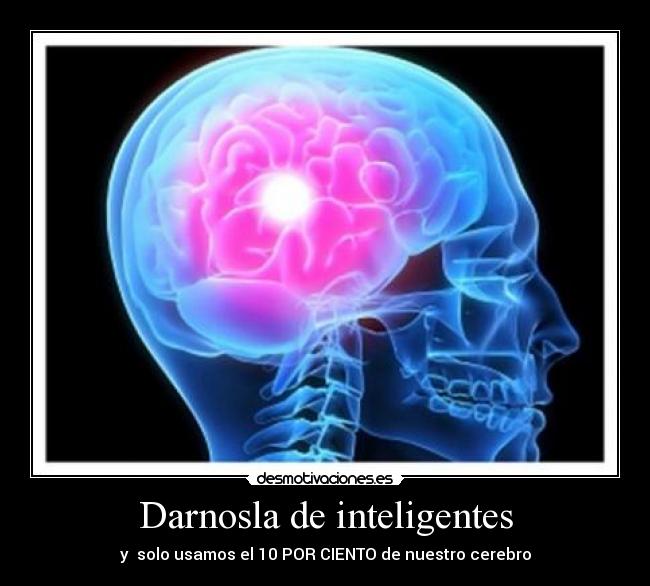 carteles cerebro inteligencia desmotivaciones