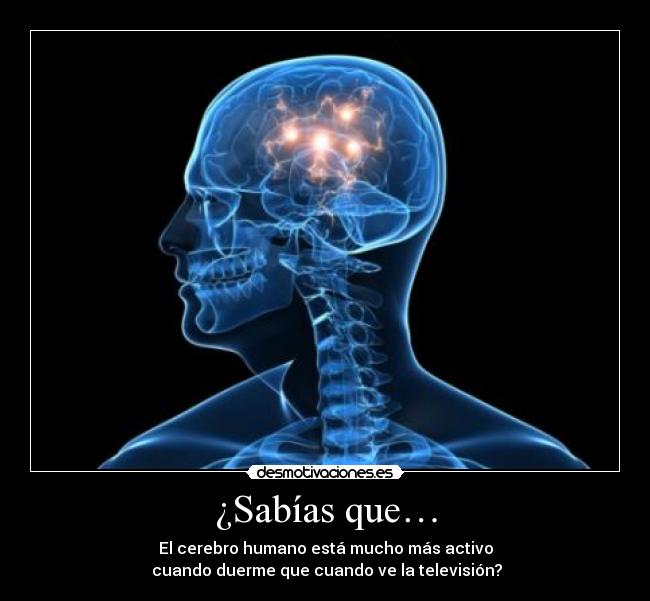 ¿Sabías que… -