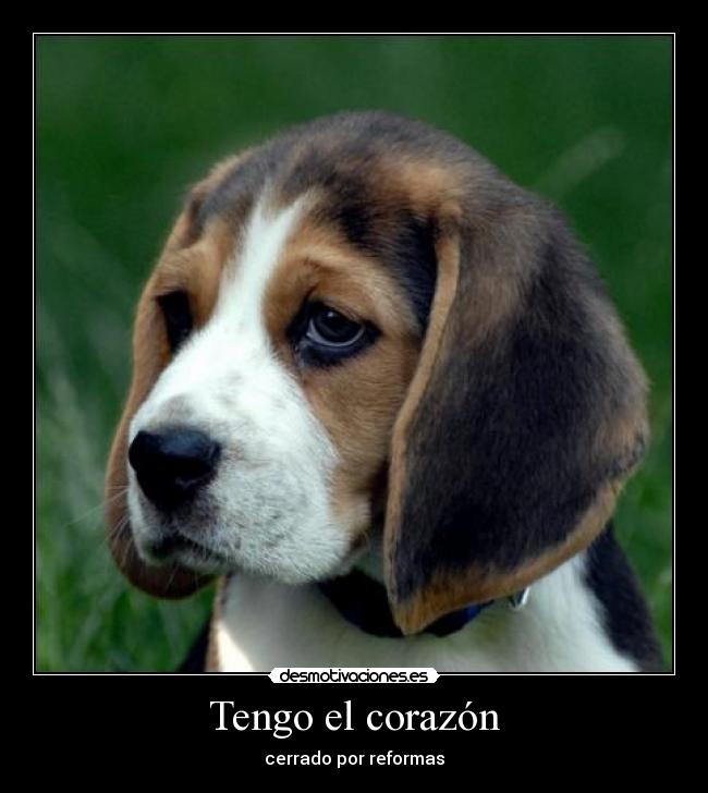 Tengo el corazón - cerrado por reformas