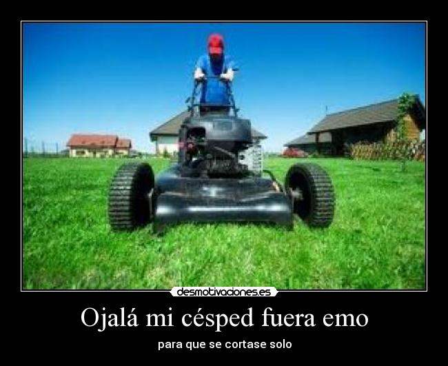 Ojalá mi césped fuera emo -