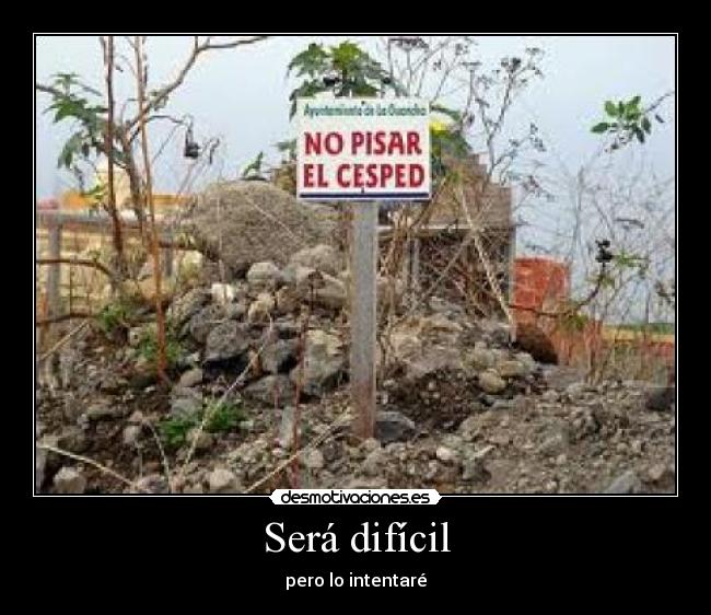 Será difícil - pero lo intentaré