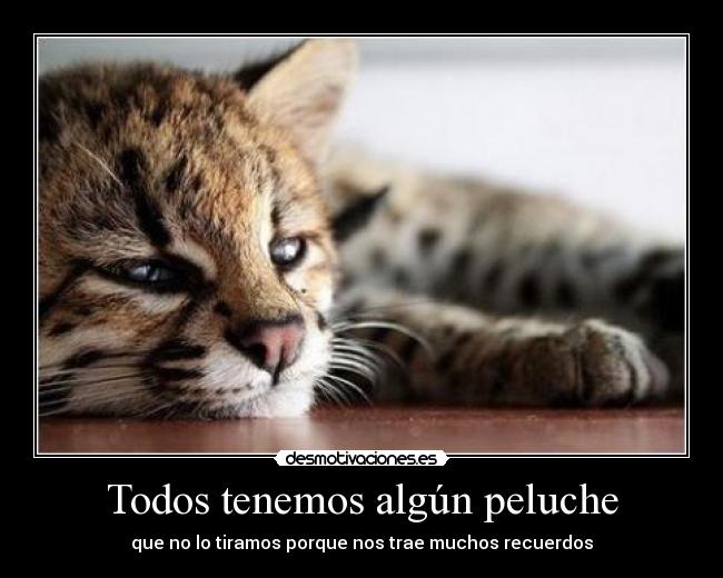 Todos tenemos algún peluche -