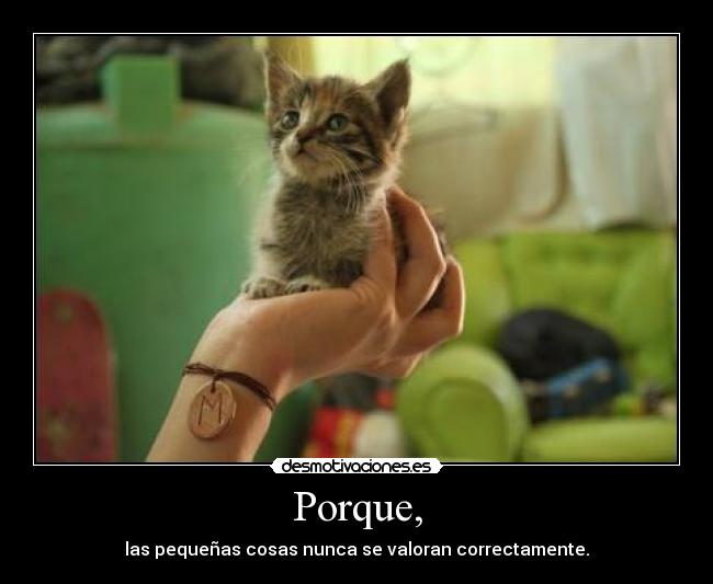 Porque, - las pequeñas cosas nunca se valoran correctamente.