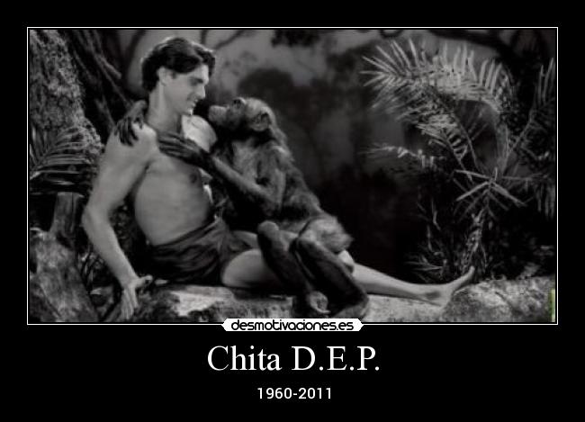 Imágenes y Carteles de CHITA Desmotivaciones