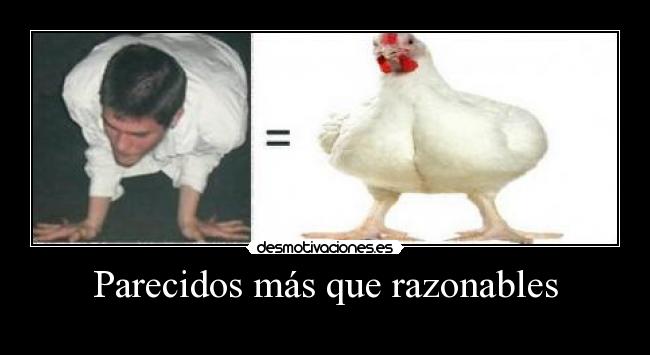 Parecidos más que razonables -