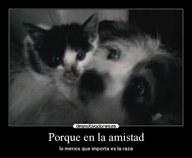 Porque en la amistad - lo menos que importa es la raza