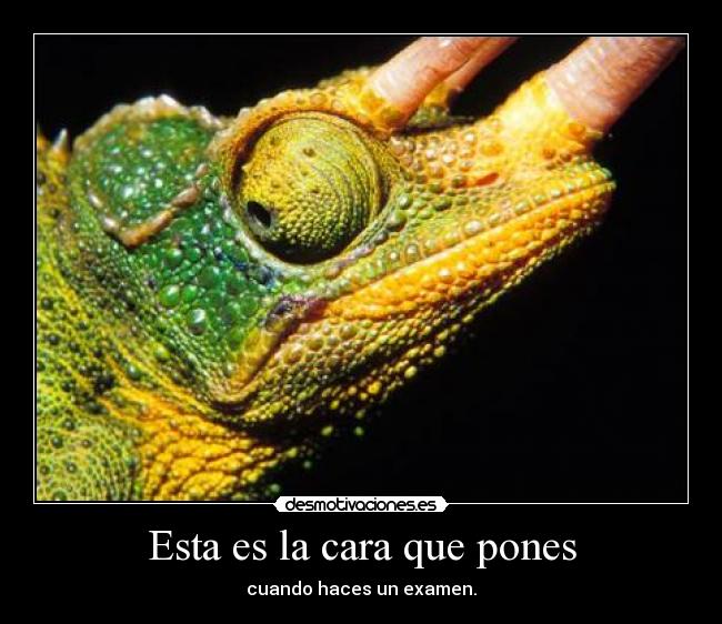 Esta es la cara que pones -