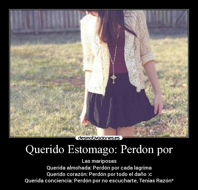 Querido Estomago: Perdon por -