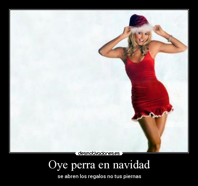 Oye perra en navidad - se abren los regalos no tus piernas