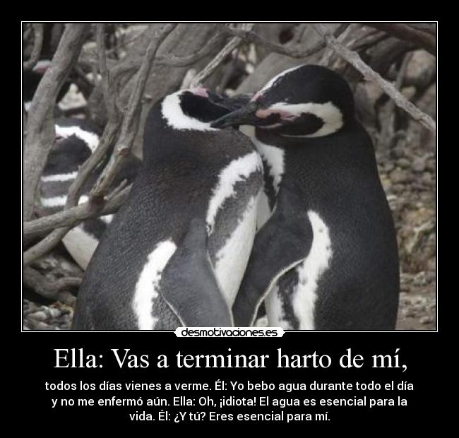 Ella: Vas a terminar harto de mí, - todos los días vienes a verme. Él: Yo bebo agua durante todo el día
y no me enfermó aún. Ella: Oh, ¡idiota! El agua es esencial para la
vida. Él: ¿Y tú? Eres esencial para mí.