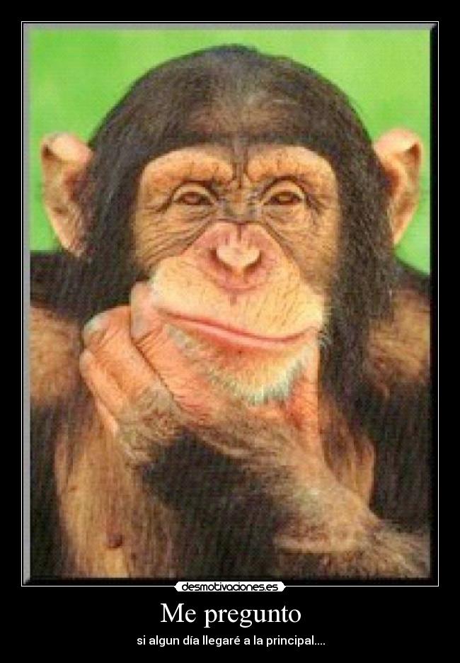 Me pregunto - si algun día llegaré a la principal....