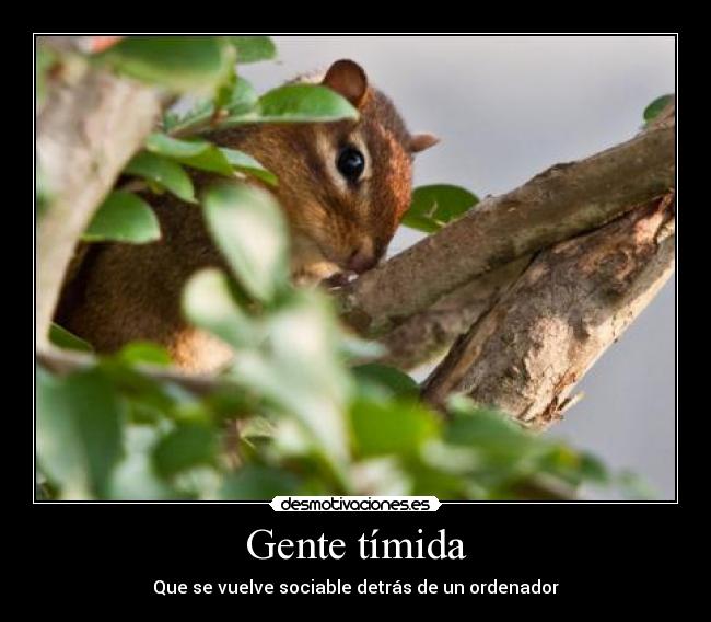 carteles las ardillas molan desmotivaciones