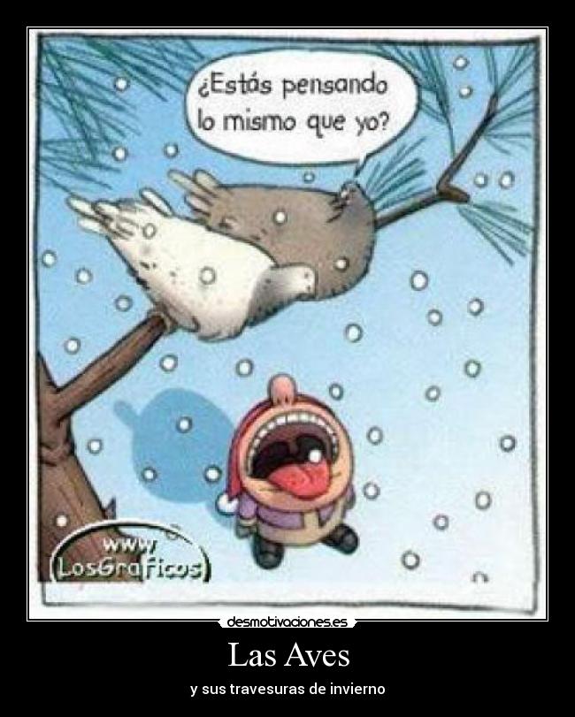 Resultado de imagen de chiste invierno