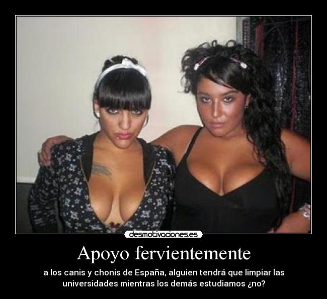 Apoyo fervientemente -
