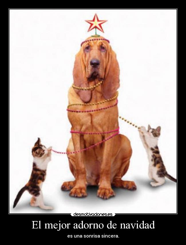 El mejor adorno de navidad -