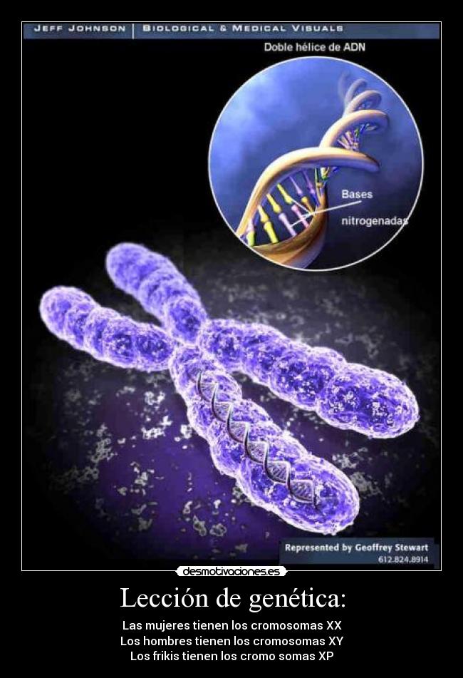 Lección de genética: - Las mujeres tienen los cromosomas XX
Los hombres tienen los cromosomas XY
Los frikis tienen los cromo somas XP
