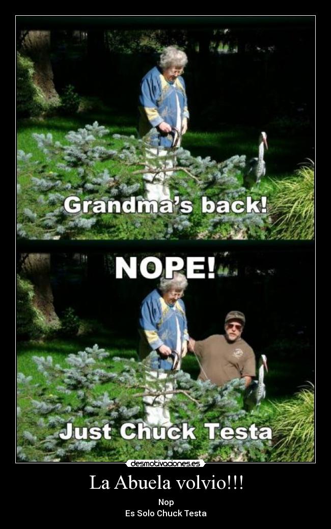 La Abuela volvio!!! - Nop
Es Solo Chuck Testa