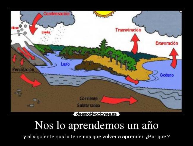 Nos lo aprendemos un año - 