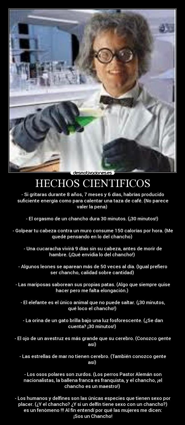 HECHOS CIENTIFICOS - - Si gritaras durante 8 años, 7 meses y 6 días, habrías producido
suficiente energía como para calentar una taza de café. (No parece
valer la pena) 

- El orgasmo de un chancho dura 30 minutos. (¡30 minutos!) 

- Golpear tu cabeza contra un muro consume 150 calorías por hora. (Me
quedé pensando en lo del chancho) 

- Una cucaracha vivirá 9 días sin su cabeza, antes de morir de
hambre. (¡Qué envidia lo del chancho!) 

- Algunos leones se aparean más de 50 veces al día. (Igual prefiero
ser chancho, calidad sobre cantidad) 

- Las mariposas saborean sus propias patas. (Algo que siempre quise
hacer pero me falta elongación.) 

- El elefante es el único animal que no puede saltar. (¡30 minutos,
qué loco el chancho!) 

- La orina de un gato brilla bajo una luz fosforescente. (¿Se dan
cuenta? ¡30 minutos!) 

- El ojo de un avestruz es más grande que su cerebro. (Conozco gente
así) 

- Las estrellas de mar no tienen cerebro. (También conozco gente
así) 

- Los osos polares son zurdos. (Los perros Pastor Alemán son
nacionalistas, la ballena franca es franquista, y el chancho, ¡el
chancho es un maestro!) 

- Los humanos y delfines son las únicas especies que tienen sexo por
placer. (¿Y el chancho? ¿Y si un delfín tiene sexo con un chancho?)
es un fenòmeno !!! Al fin entendí por qué las mujeres me dicen:
¡Sos un Chancho!