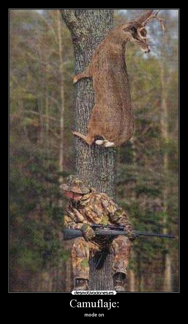 Camuflaje: - mode on