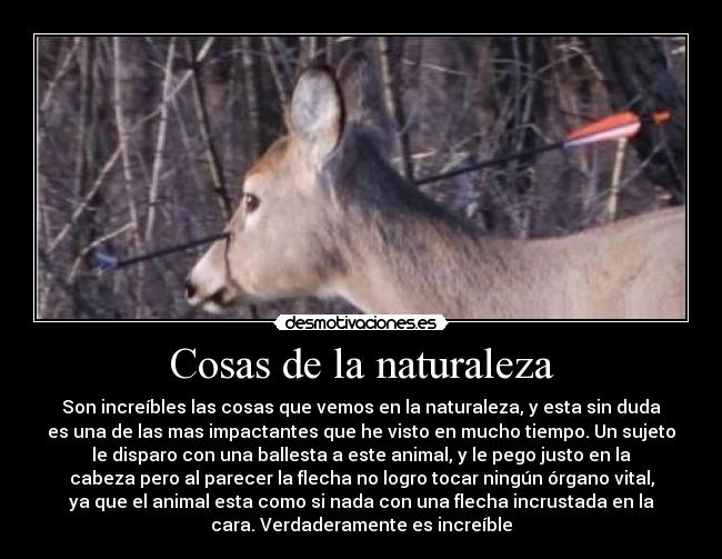 carteles naturaleza sdaf desmotivaciones