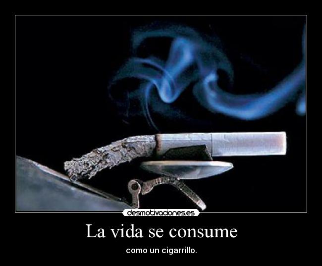 La vida se consume - 