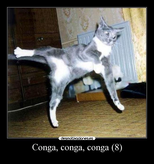 Conga, conga, conga (8) -