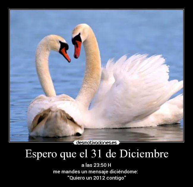 Espero que el 31 de Diciembre -