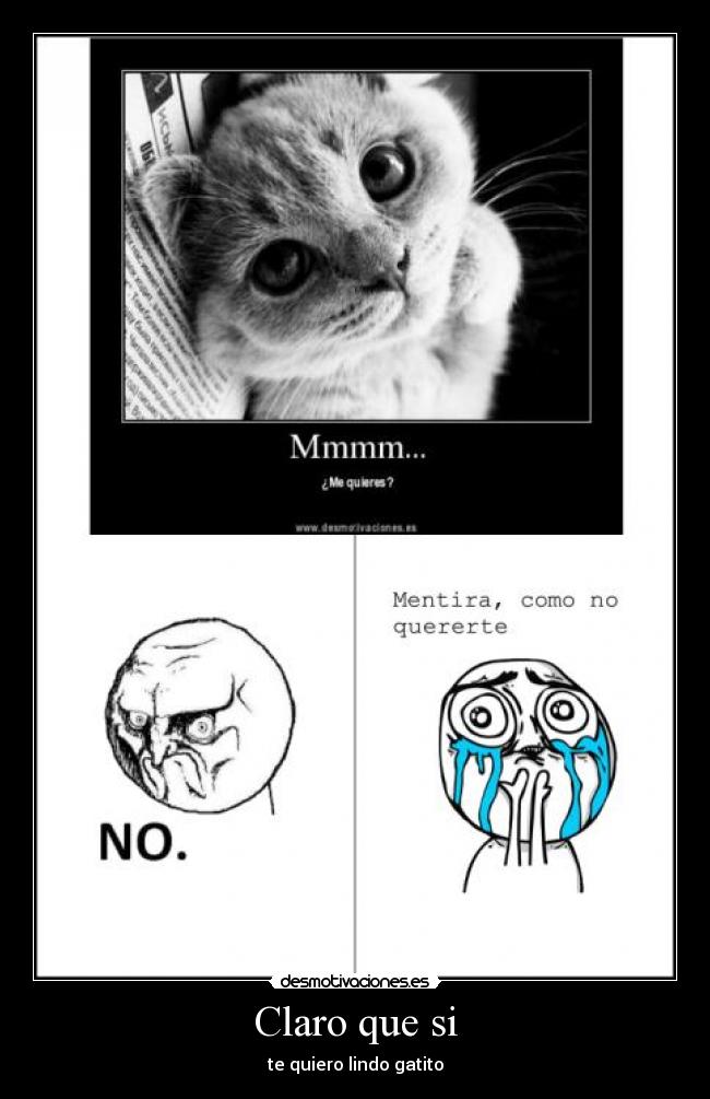 Claro que si - te quiero lindo gatito