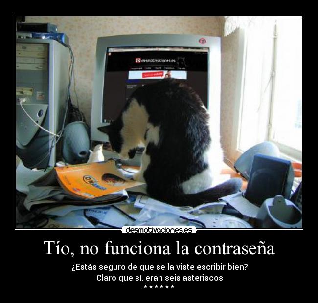 Tío, no funciona la contraseña - 