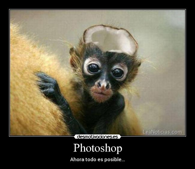 Photoshop -