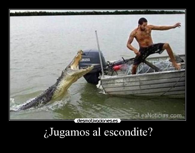 carteles principal desmotivaciones