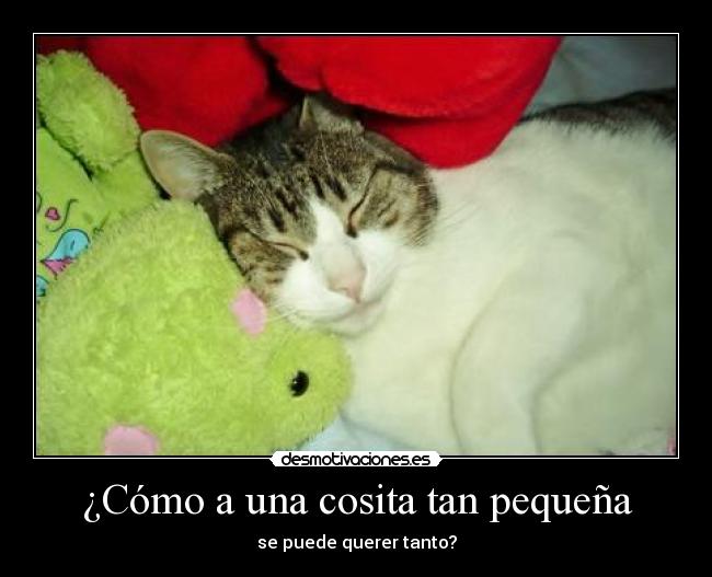 ¿Cómo a una cosita tan pequeña -