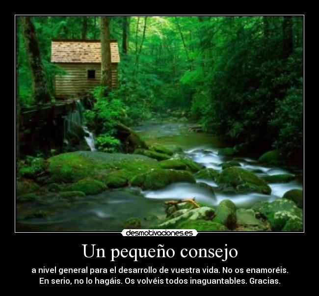 Un pequeño consejo - a nivel general para el desarrollo de vuestra vida. No os enamoréis.
En serio, no lo hagáis. Os volvéis todos inaguantables. Gracias.