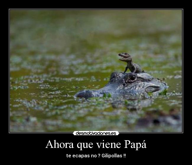 carteles cocodrilos desmotivaciones