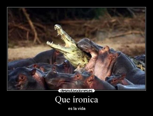 Que íronica - es la vida