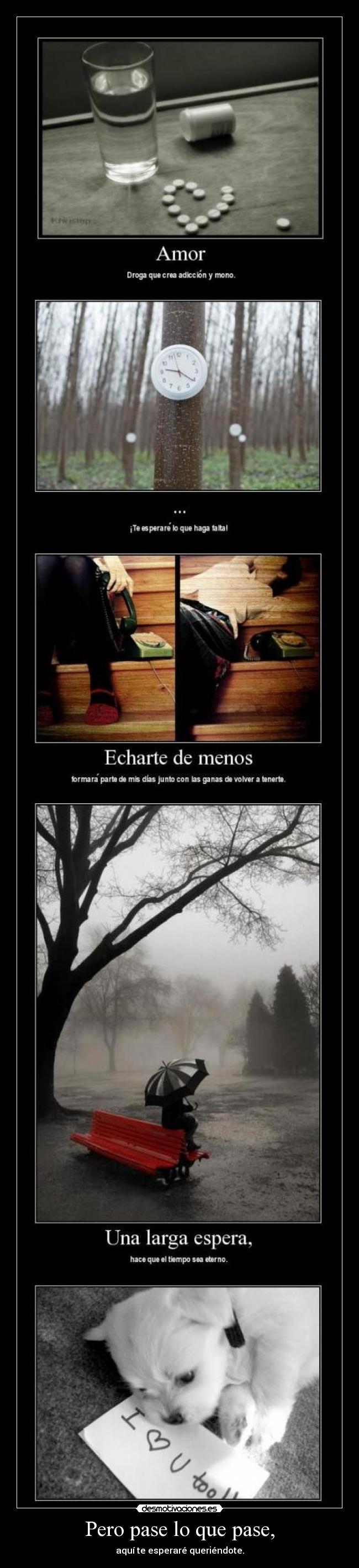 Pero pase lo que pase, - aquí te esperaré queriéndote.