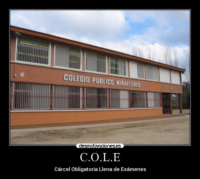 C.O.L.E - Cárcel Obligatoria Llena de Exámenes